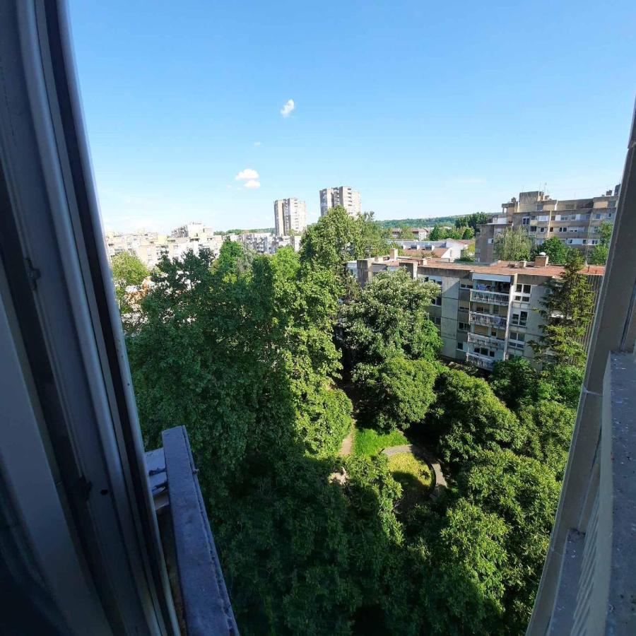 Blue Moon Apartment *